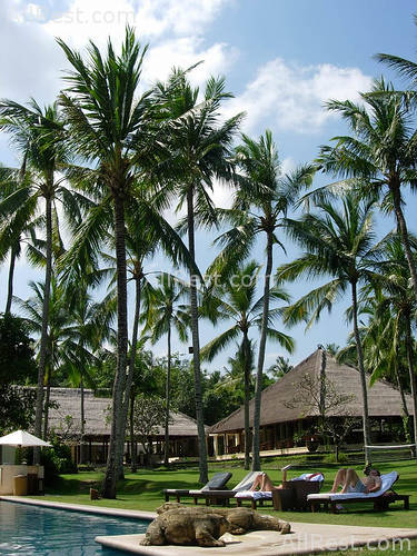 ALiLa Manggis boutique 29